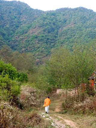 Yoga Meditation Nepal image